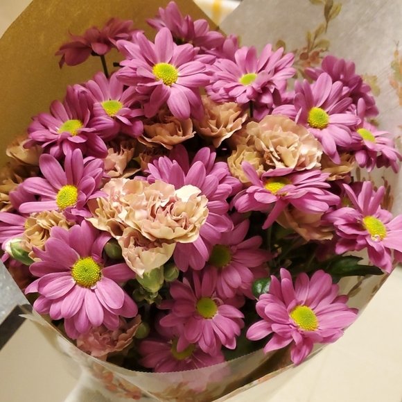 Meet The Posher💜🧡🤎 - Picture 2 of 7